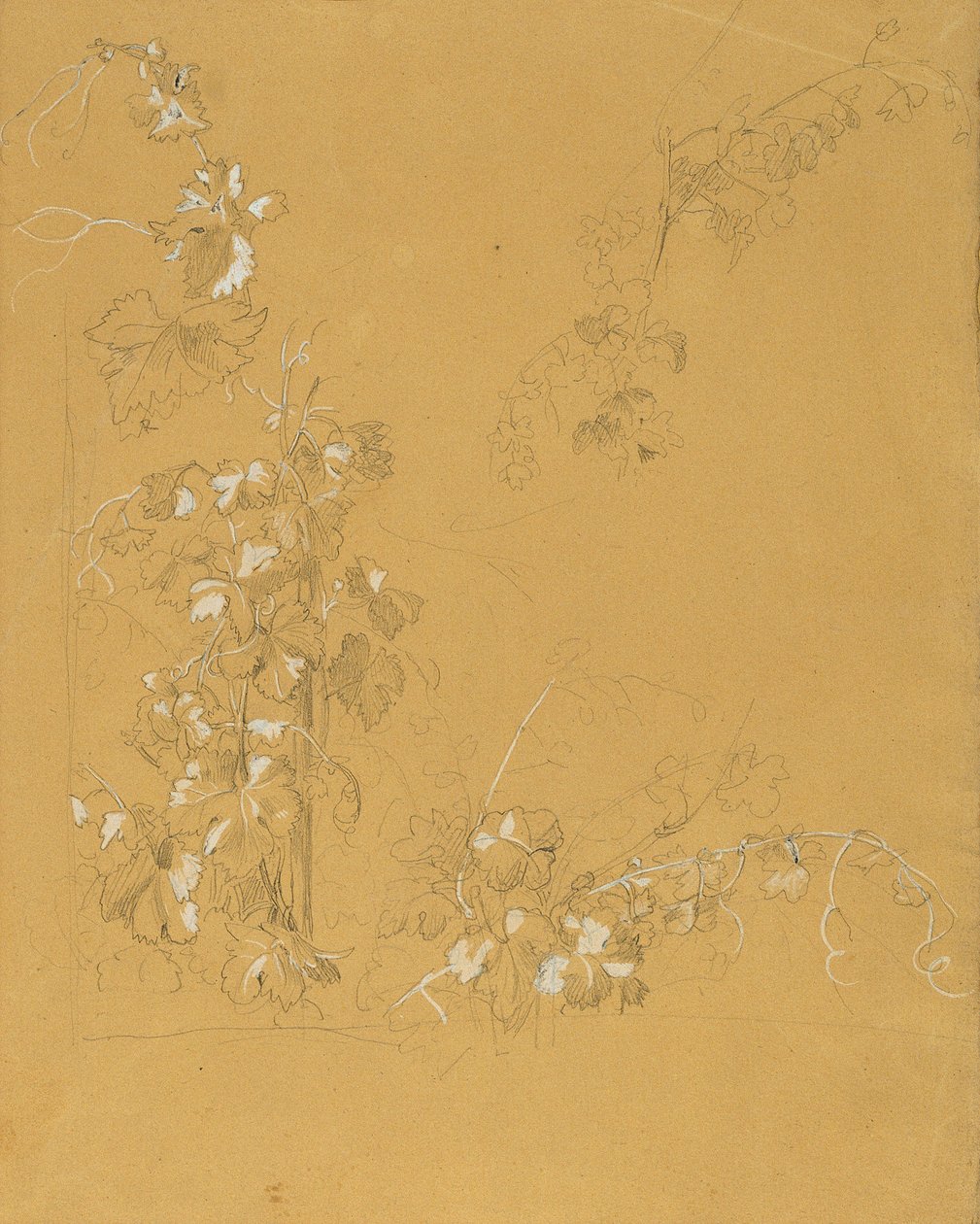 Vigne, étude pour "Hermann et Dorothée dans le vignoble" - Johann Peter Krafft