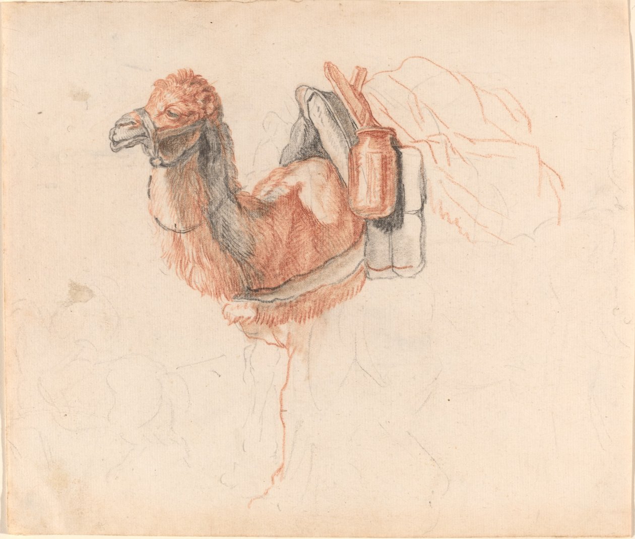 Chameau - Johann Rudolph Schellenberg