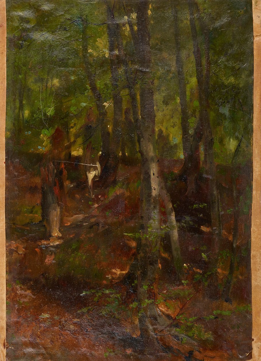 Paysage forestier - Johann  Till der Jüngere