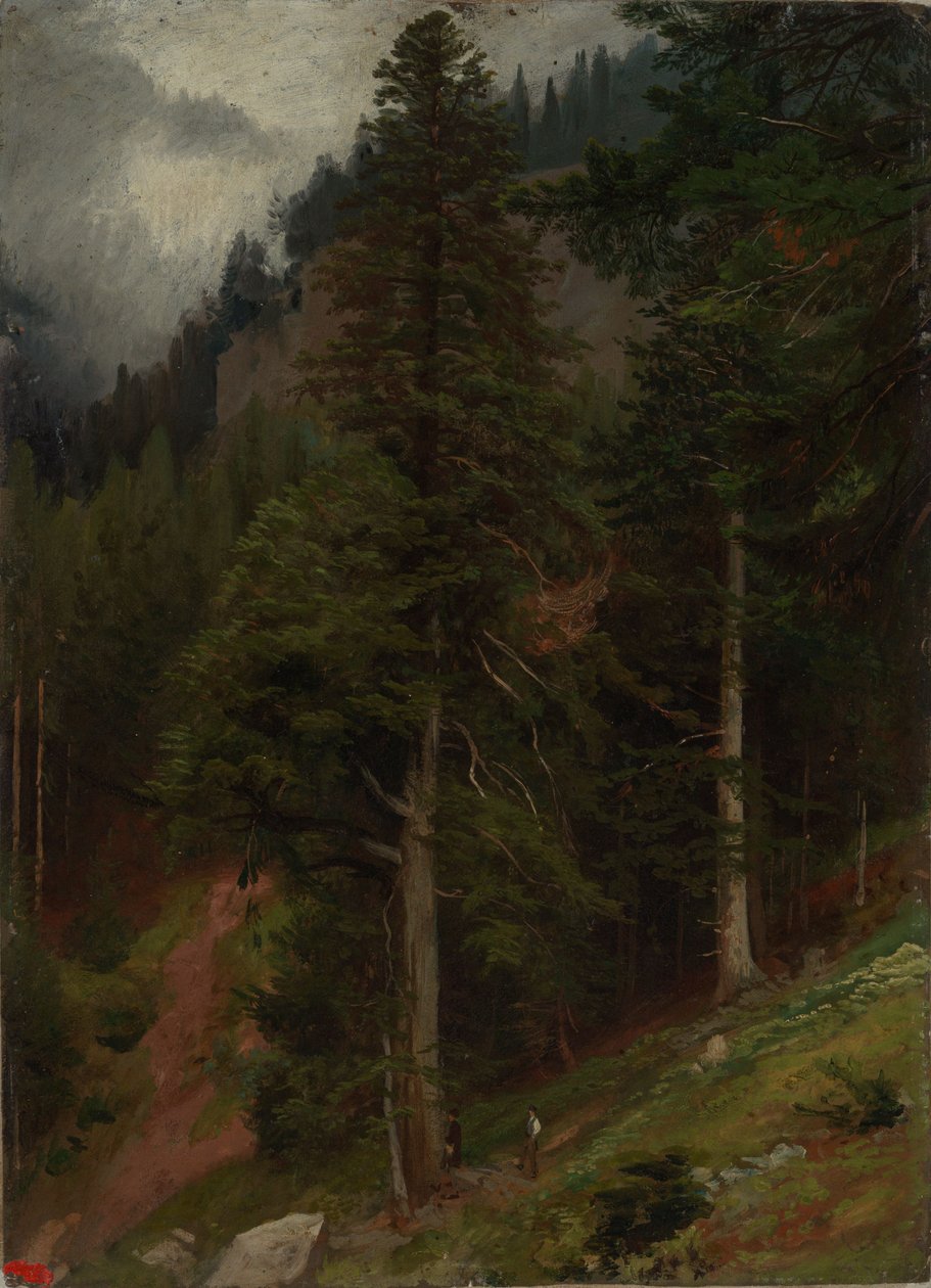 Pente dans une forêt de sapins - Johann Wilhelm Schirmer