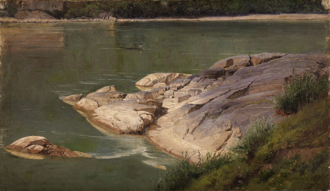 Rive rocheuse d