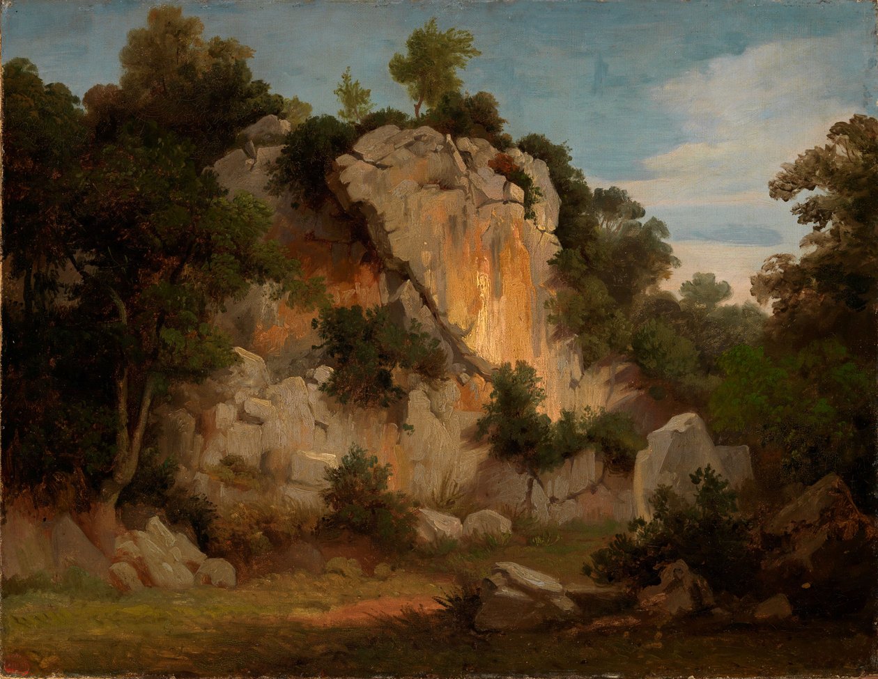 Paroi rocheuse avec arbres et buissons - Johann Wilhelm Schirmer