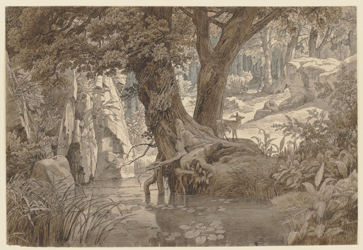 Paysage forestier - Johann Wilhelm Schirmer