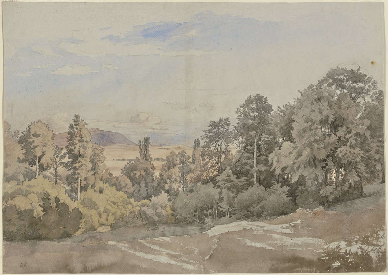 Forêt avec vue lointaine - Johann Wilhelm Schirmer