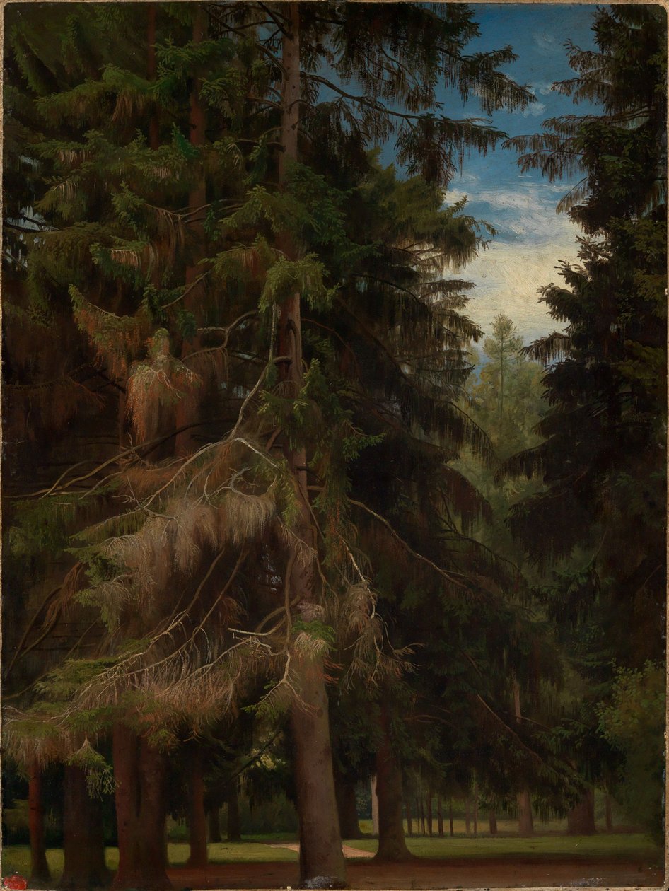 Clairière dans la forêt de sapins - Johann Wilhelm Schirmer