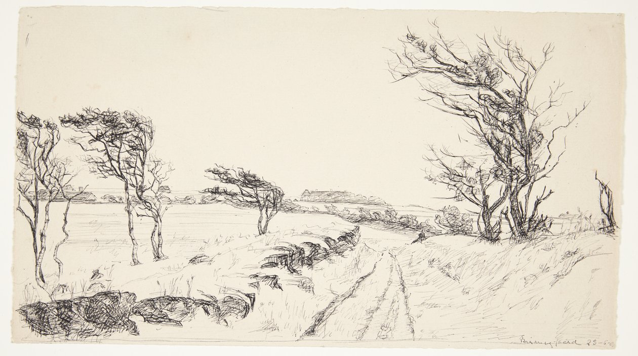 Paysage Breininggaard - Johanne Krebs