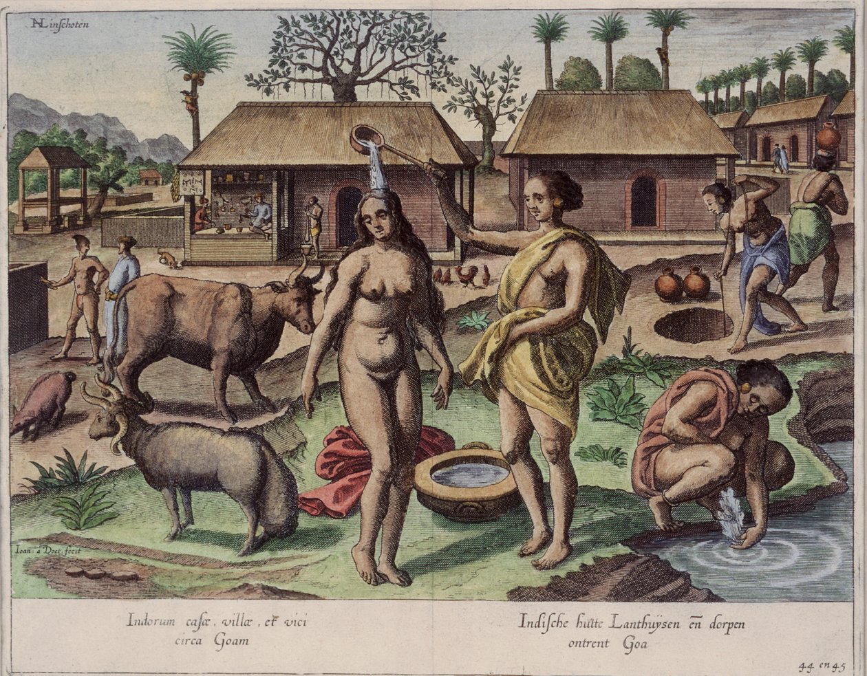 La vie à Goa, illustration de 