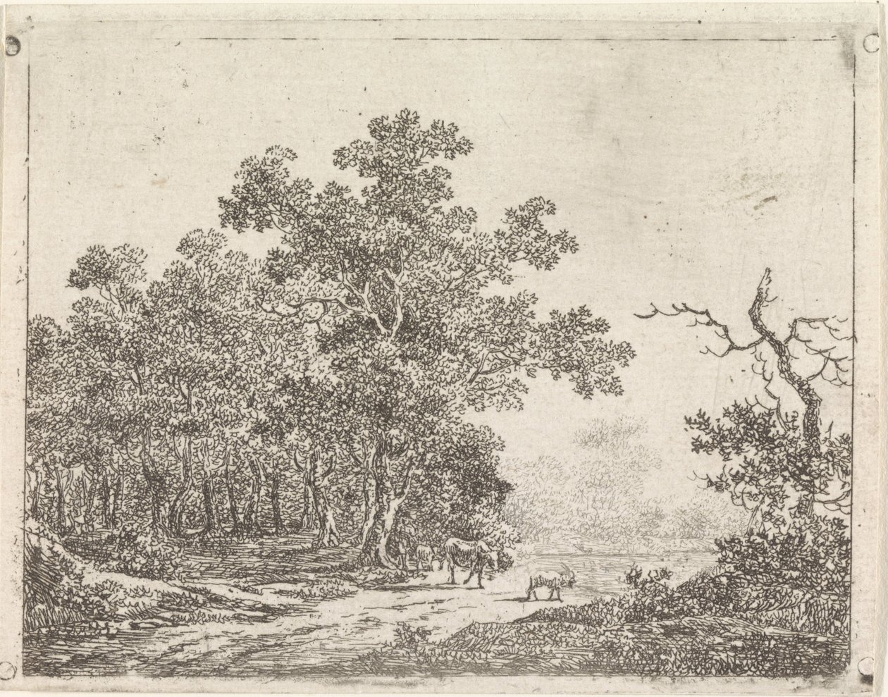Paysage avec chêne et bétail - Johannes Christiaan Janson