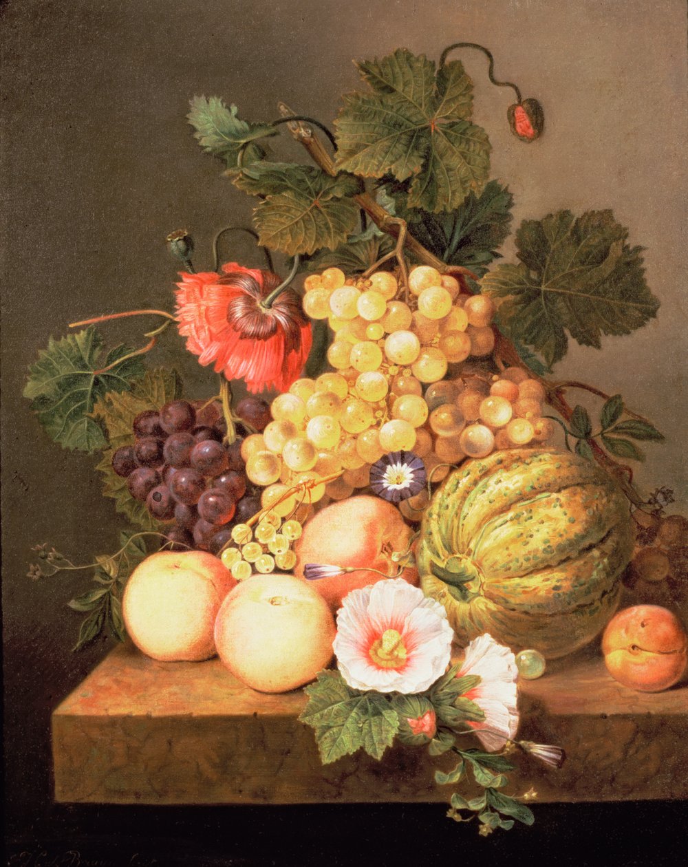 Nature morte avec fruits - Johannes Cornelis Bruyn