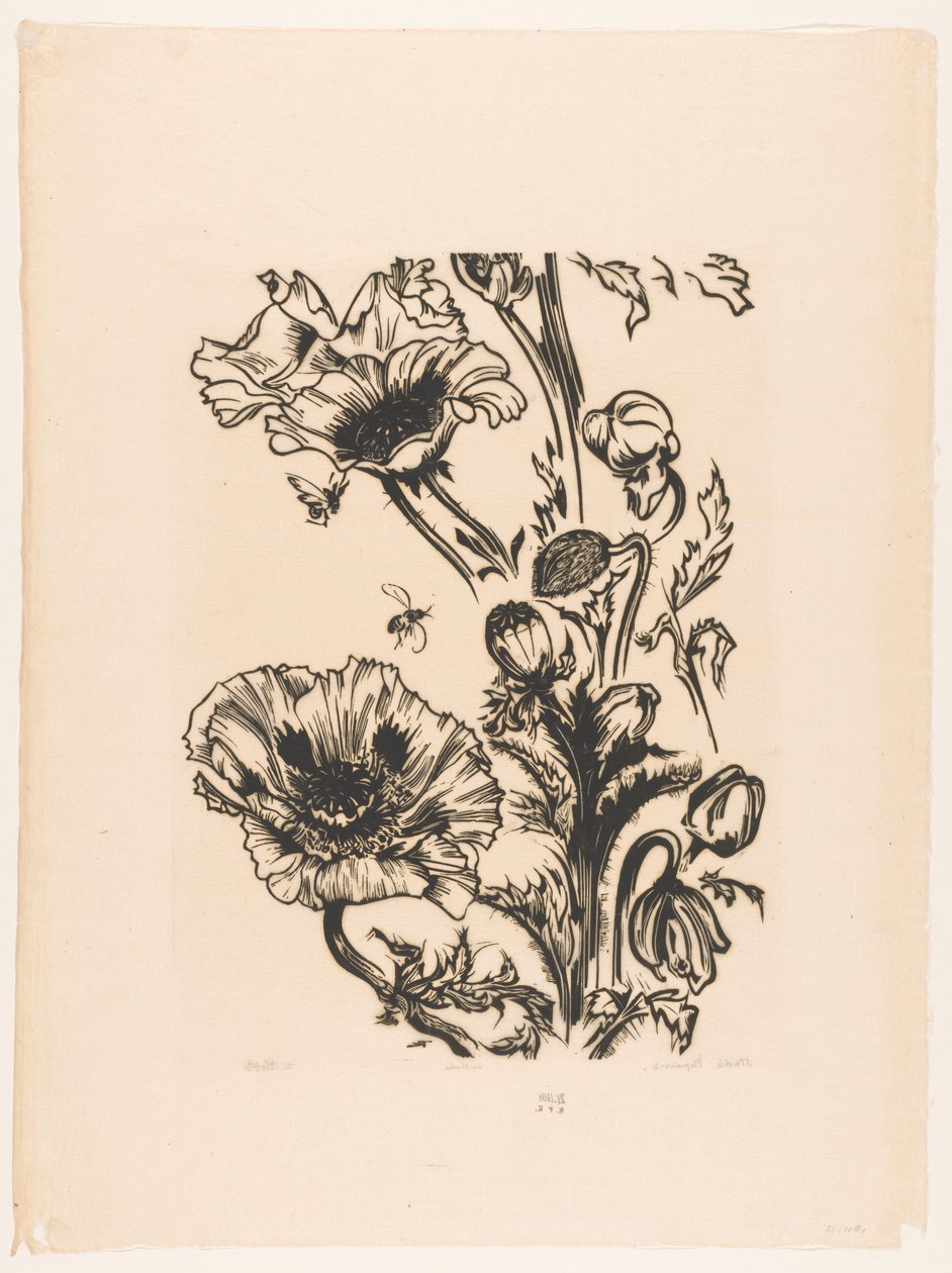 Étude de coquelicots - Johannes Frederik Engelbert ten Klooster (signed by artist)