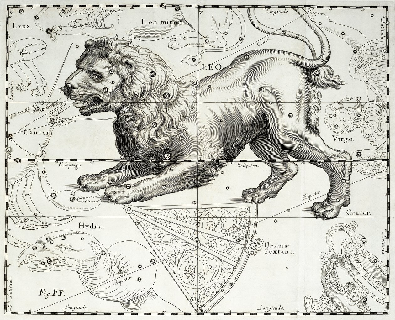 Lion, constellation zodiacale du Lion, illustration tirée de l