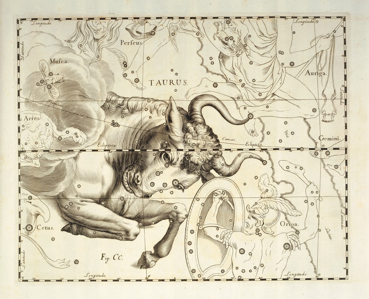 Taureau, constellation du Taureau, gravure de l