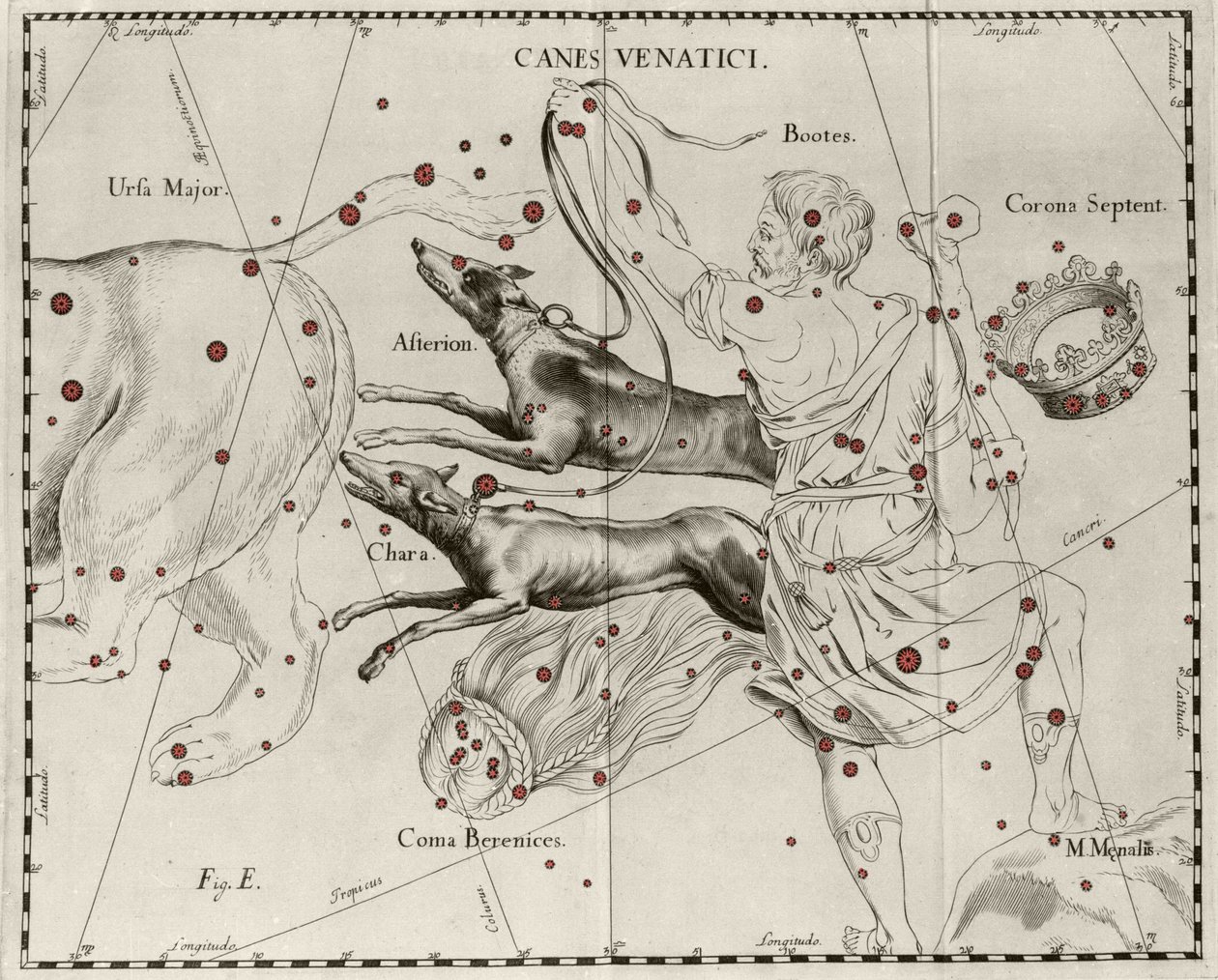 La constellation Canes Venatici, Chiens de chasse. Planche tirée de « Firmamentum Sobiescanum sive Uranographia » par Johannes Hevelius - Johannes Hevelius