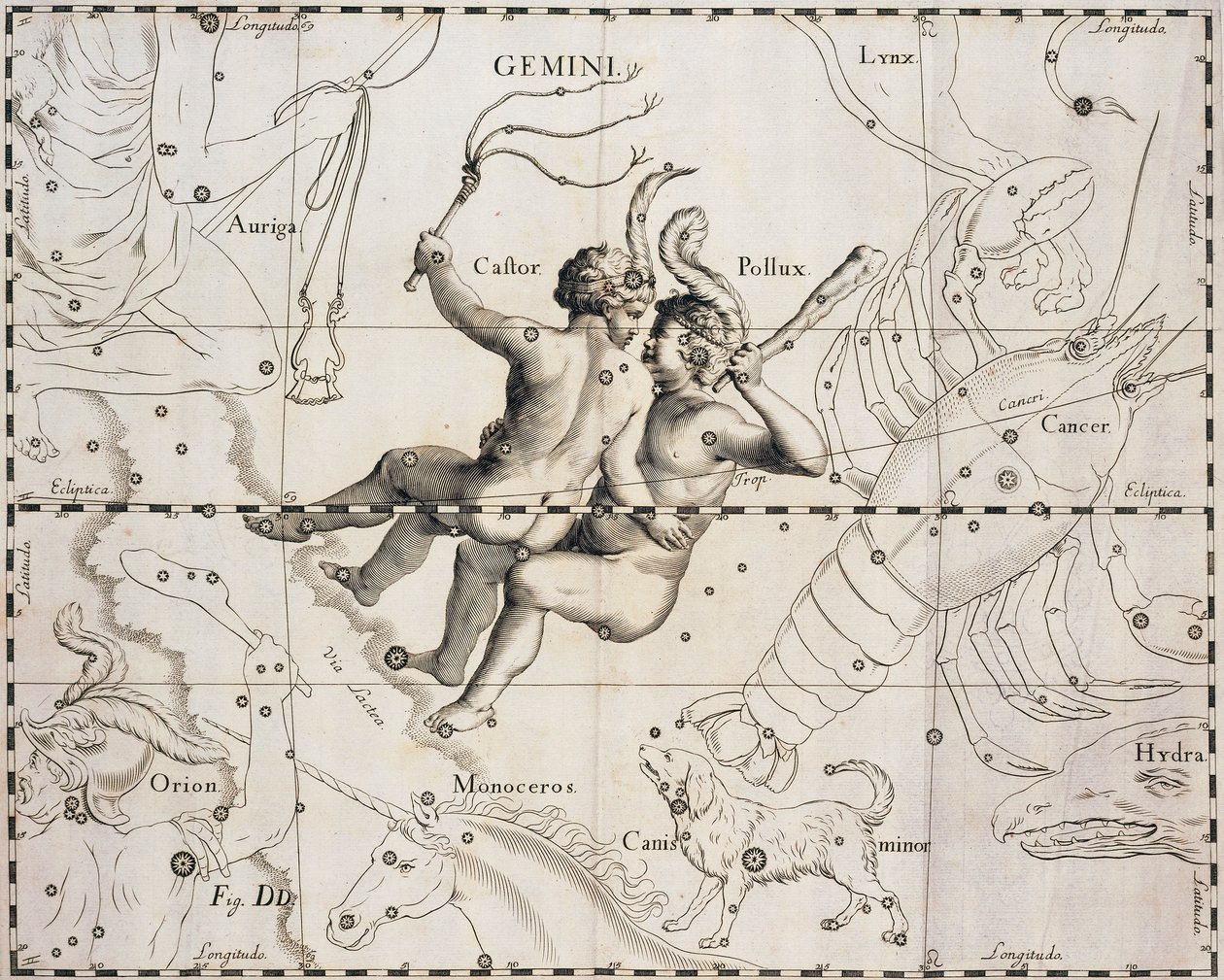 La constellation des Gémeaux, illustration du Firmamentum Sobiescianum sive Uranographia, par Johann Hevelius (1611-1687), Gdansk 1690 - Johannes Hevelius