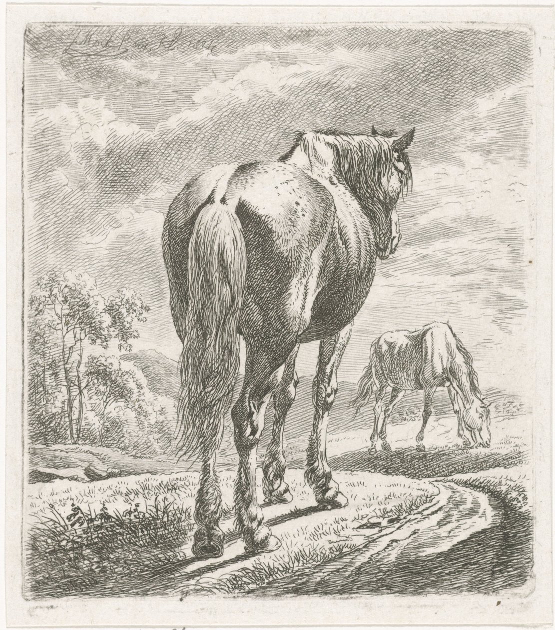 Cheval vu de dos - Johannes Mock
