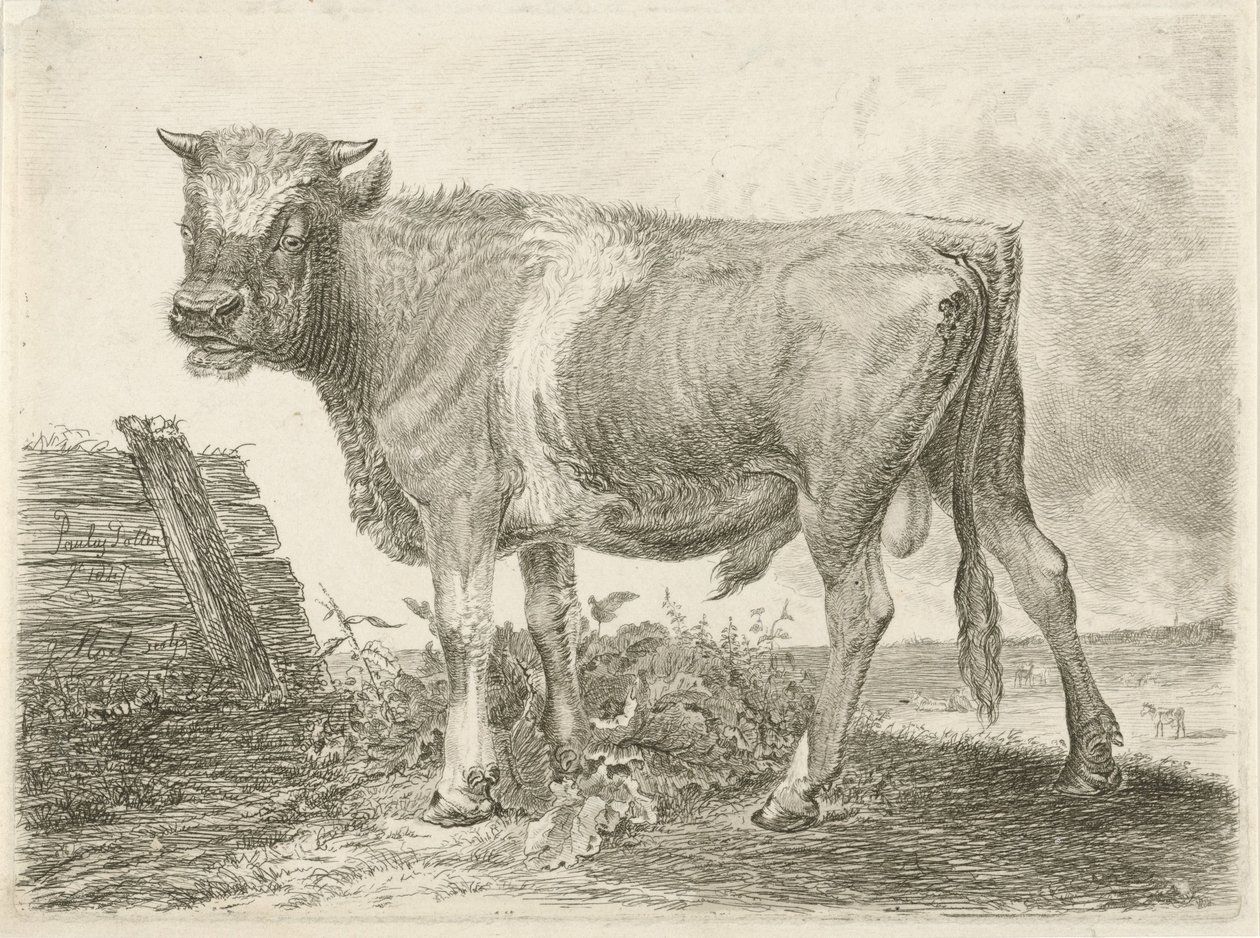 Taureau - Johannes Mock