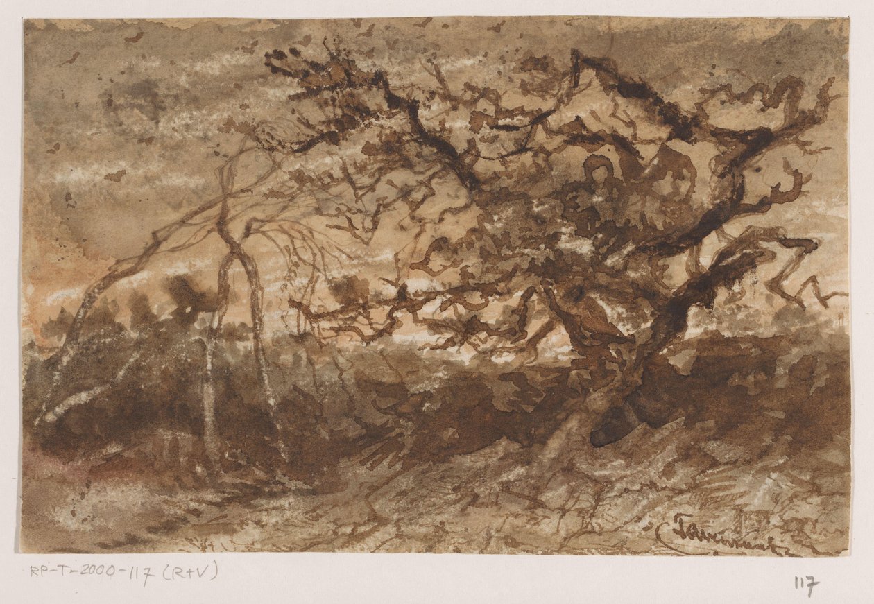 Arbre au coucher du soleil - Johannes Tavenraat (signed by artist)