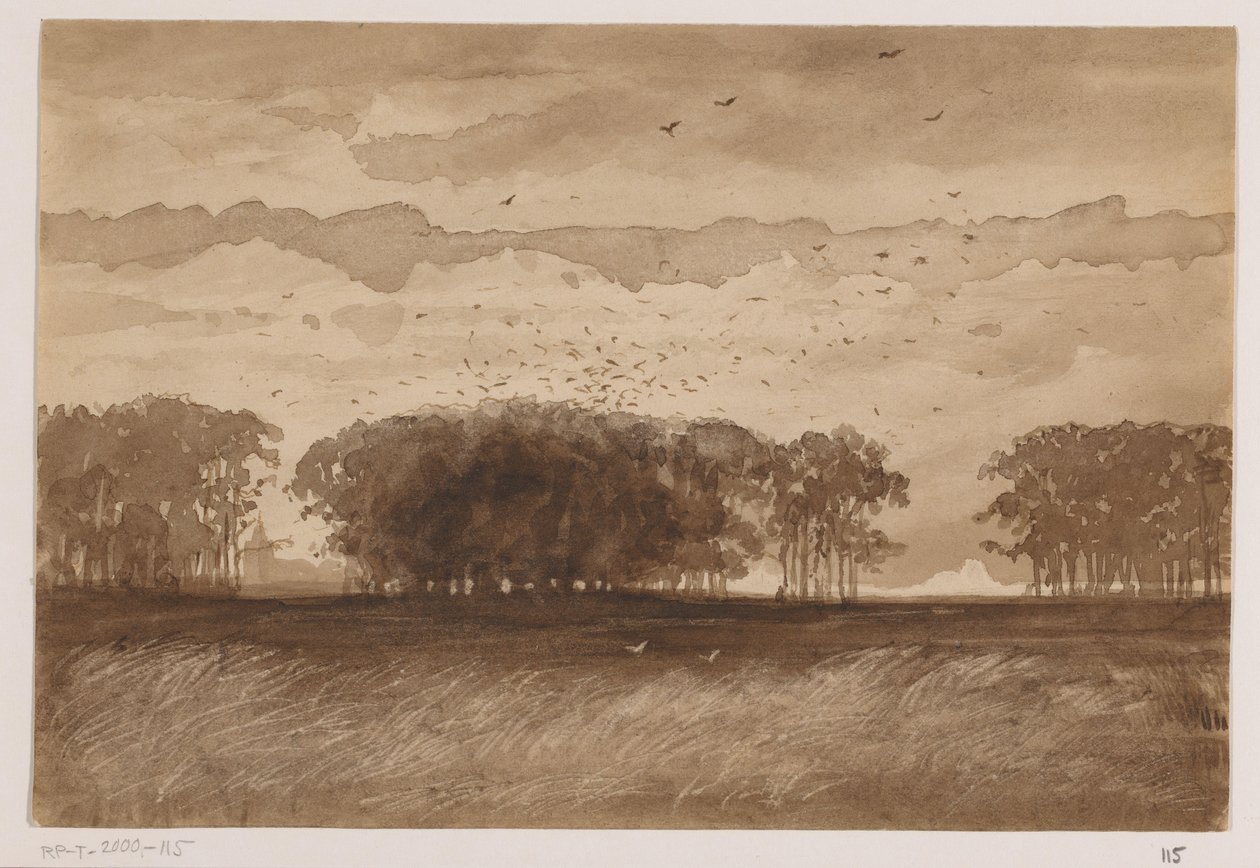 Colonie de corbeaux en Brabant-Septentrional - Johannes Tavenraat (signed by artist)