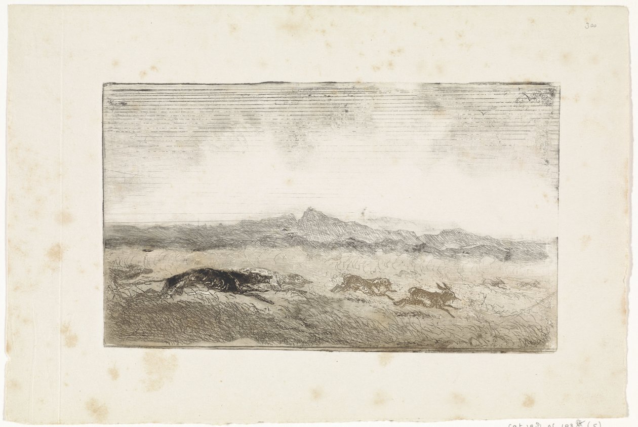 Chasse au lièvre - Johannes Tavenraat