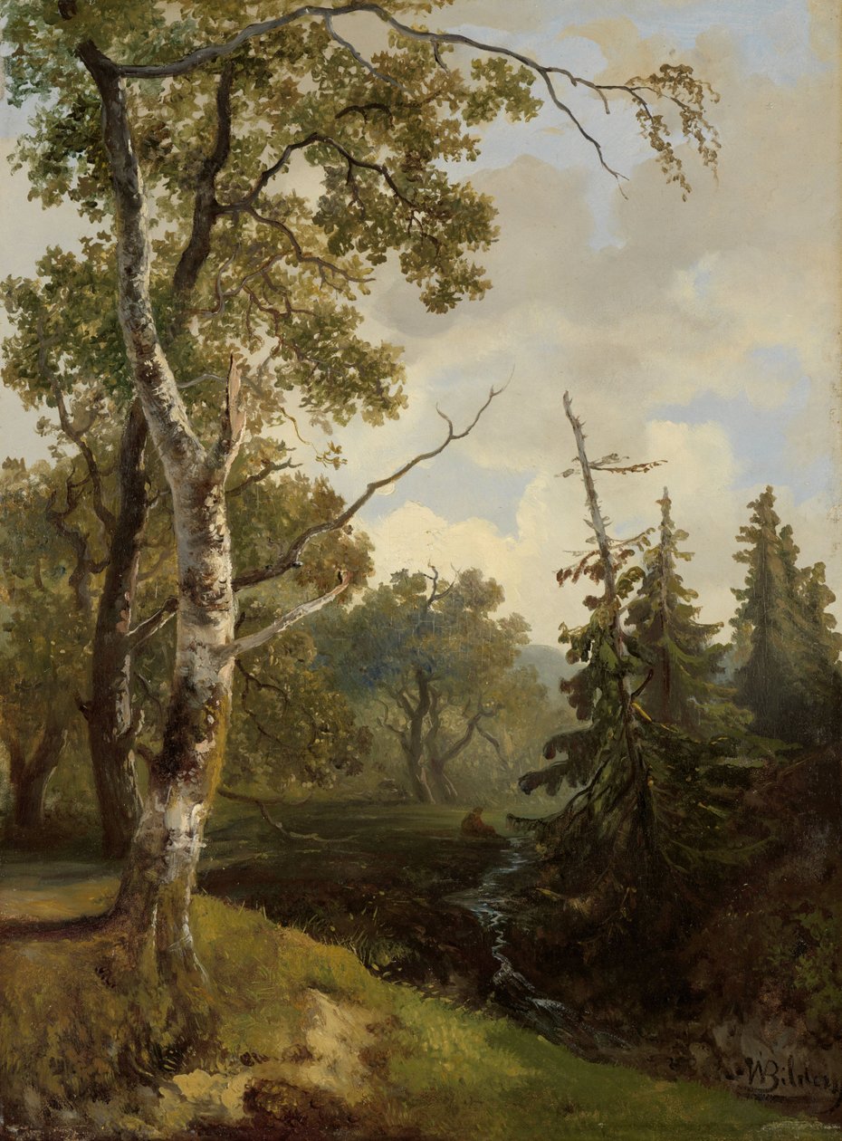 Vue de la forêt près de Wolfheze - Johannes Wernardus Bilders