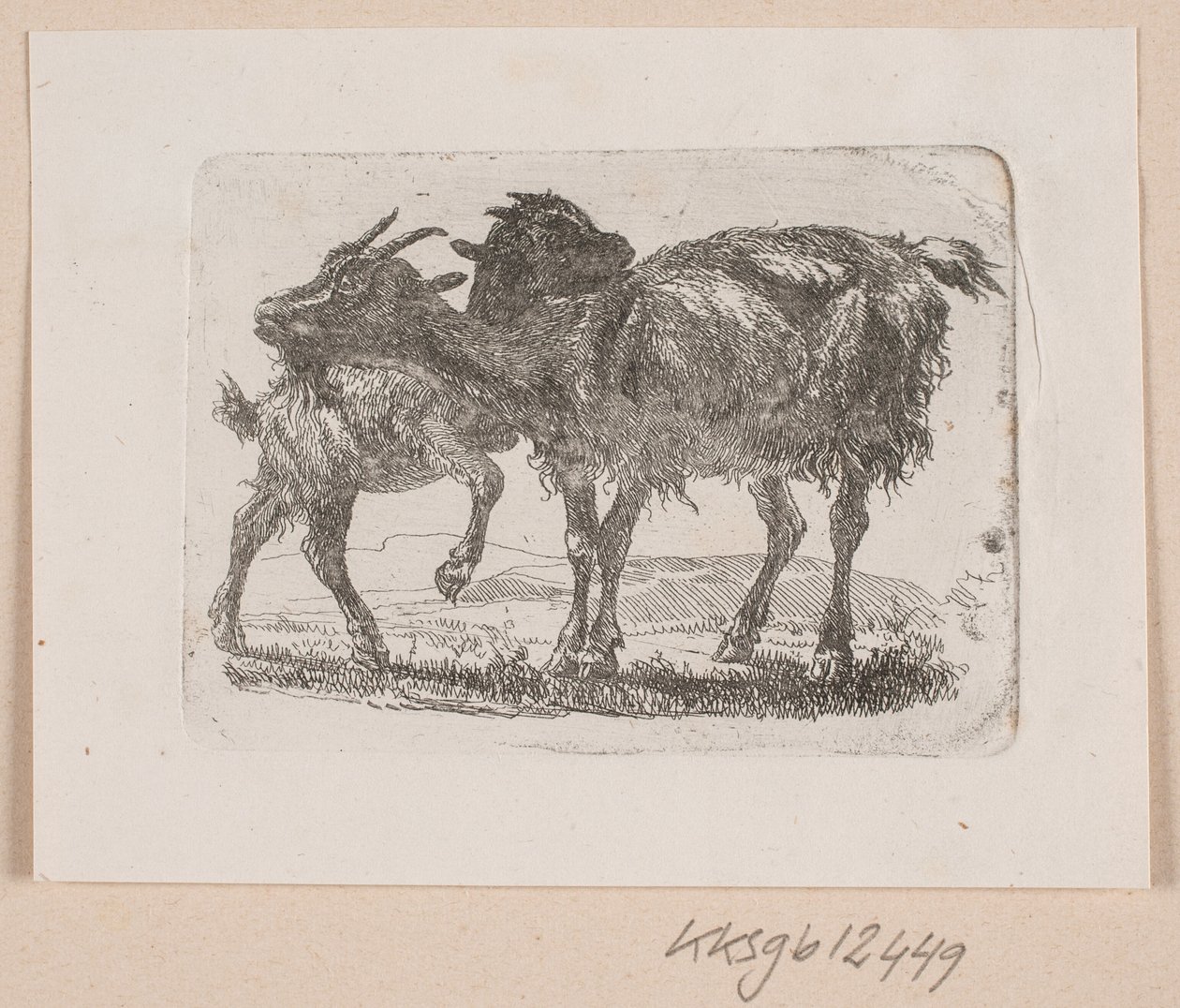 Une chèvre avec son chevreau - Johannes Wilhelm Zillen