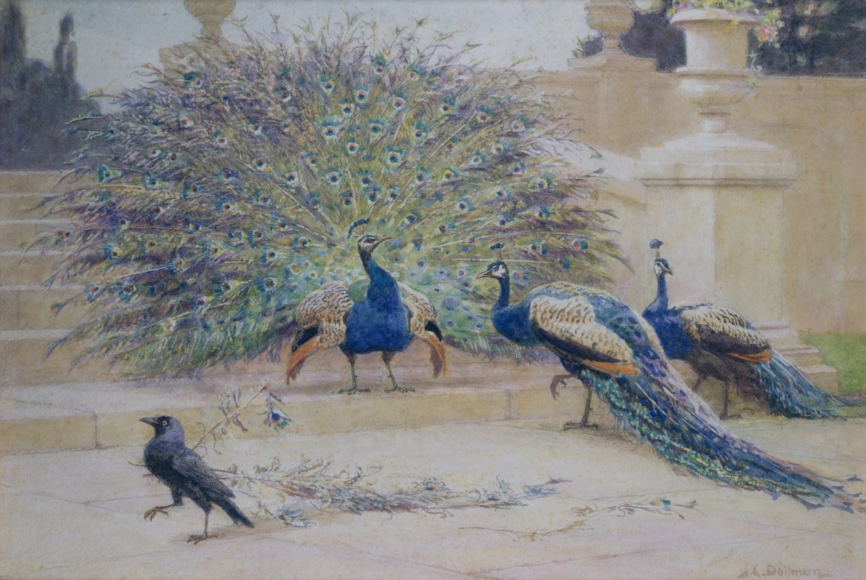 La plume empruntée - John Charles Dollman