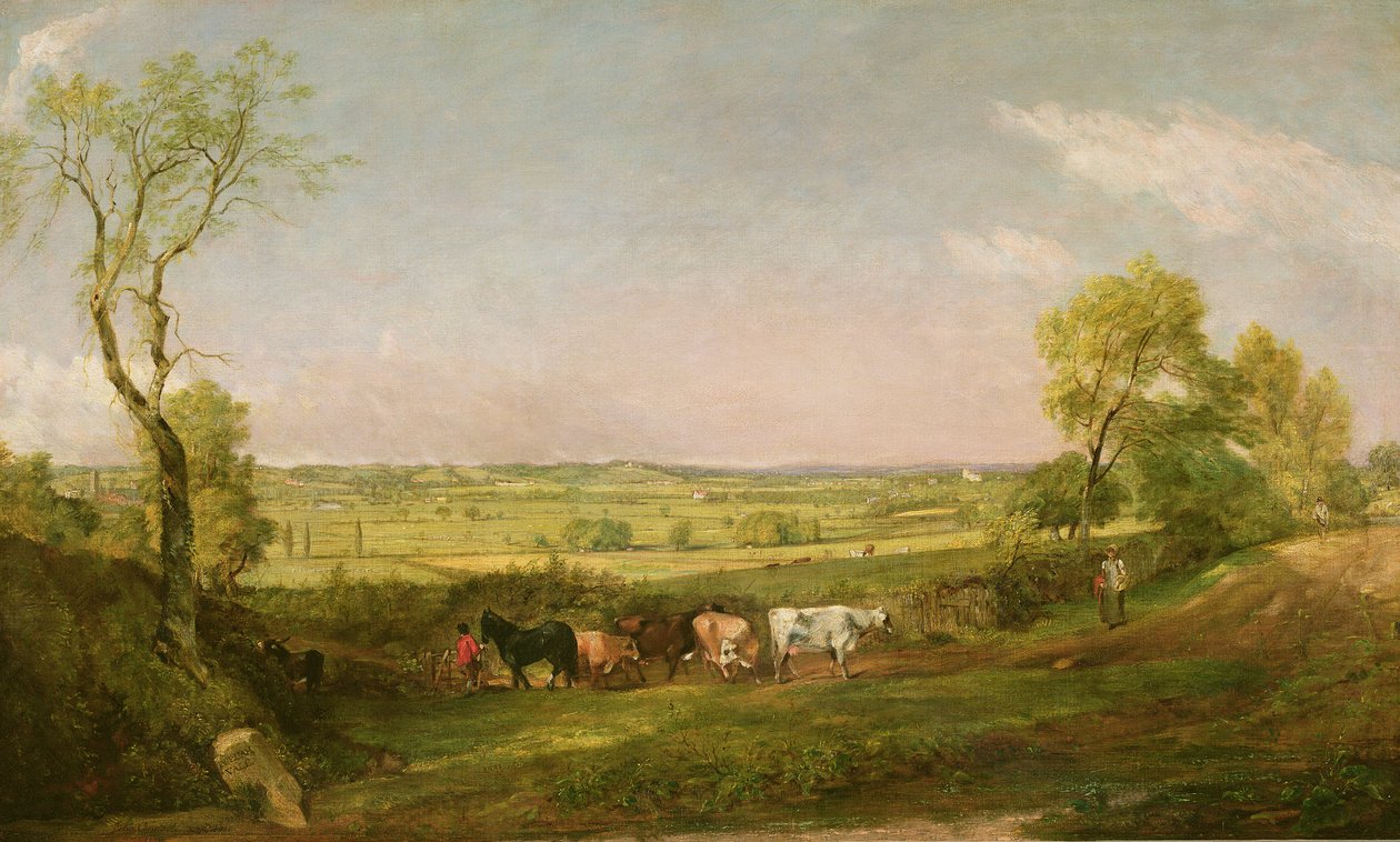 Dedham Vale : Matin, vers 1811 - John Constable