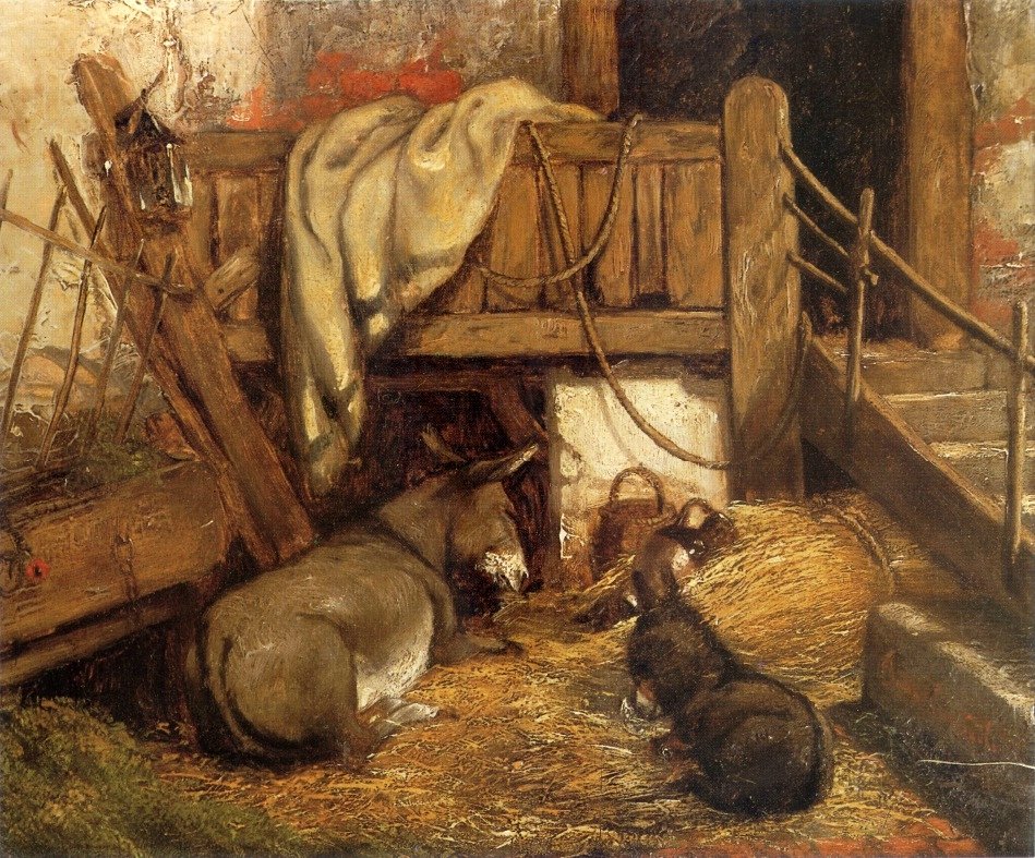 Ânes dans l