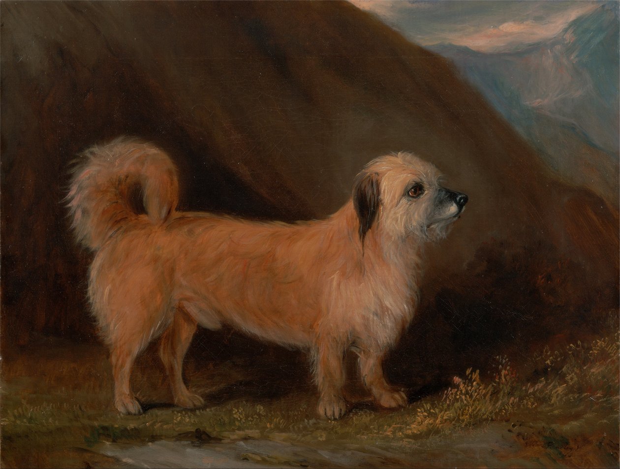 Un terrier Dandie Dinmont - John E. Ferneley