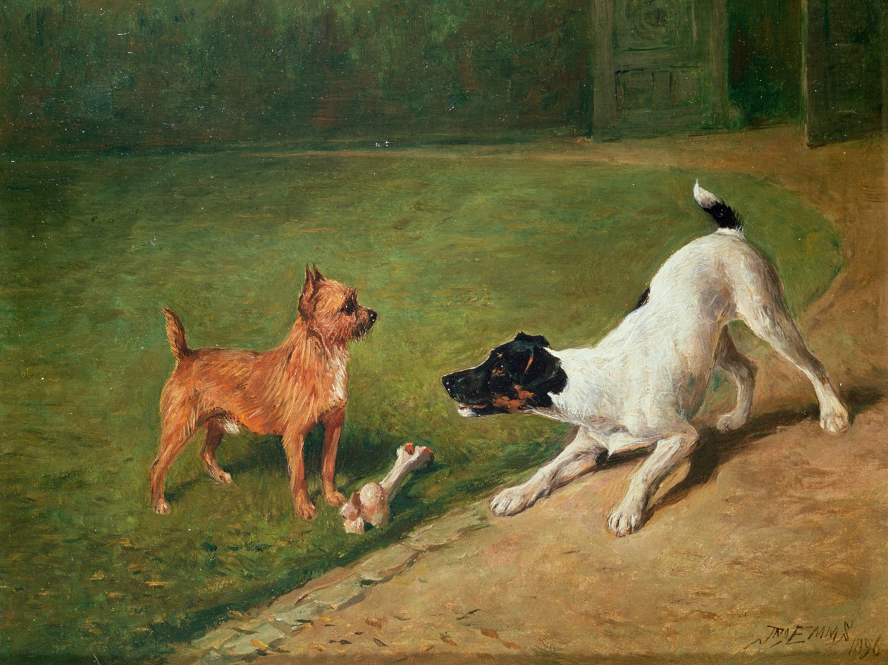 Se battre pour un os - John Emms