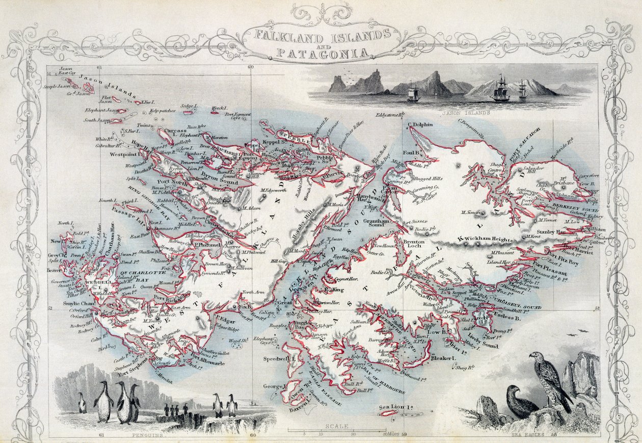 Îles Falkland et Patagonie, d