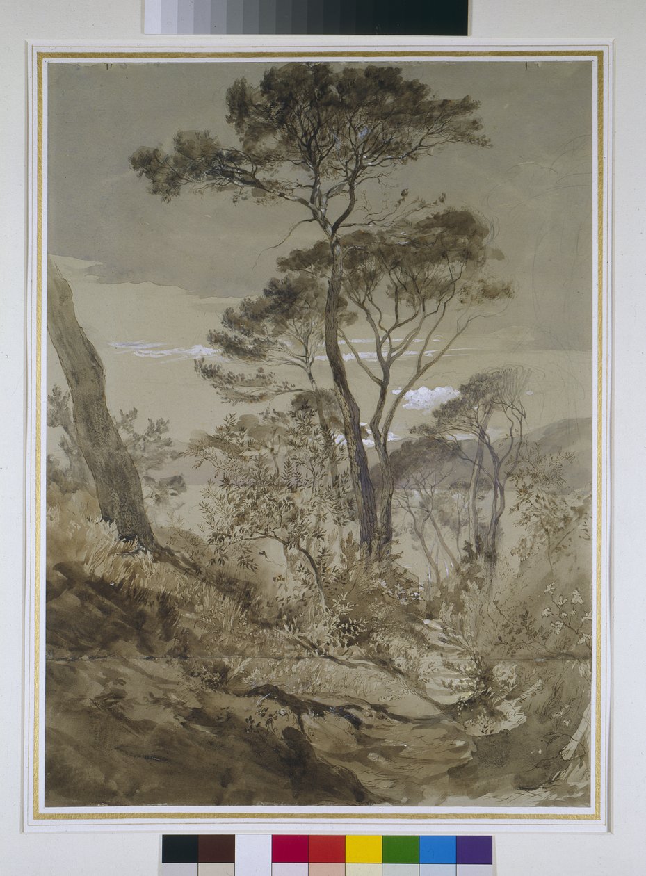 Pins parasols à Sestri, Golfe de Gênes, 30 avril 1845 - John Ruskin