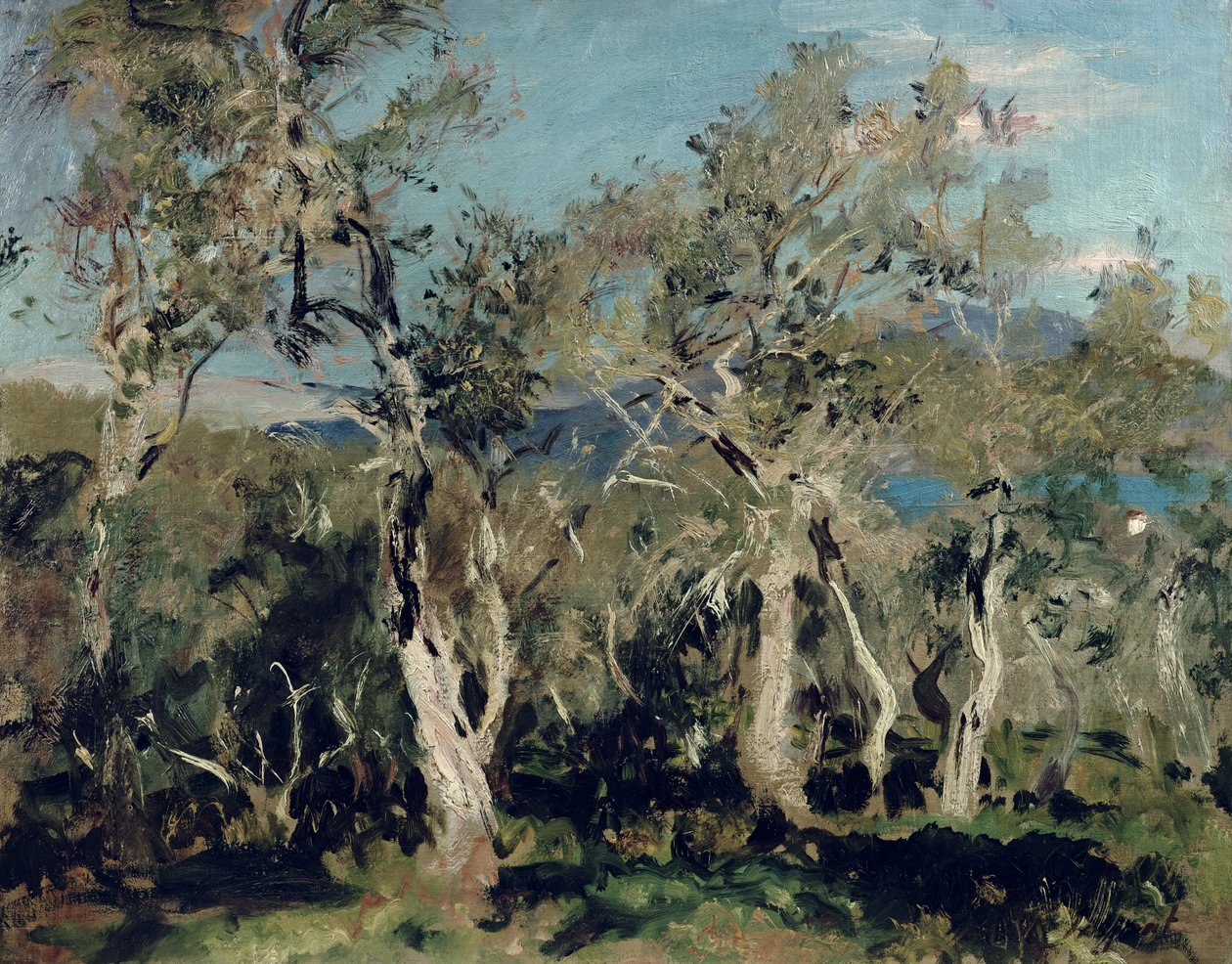 Olives, Corfou, 1912 - John Singer Sargent