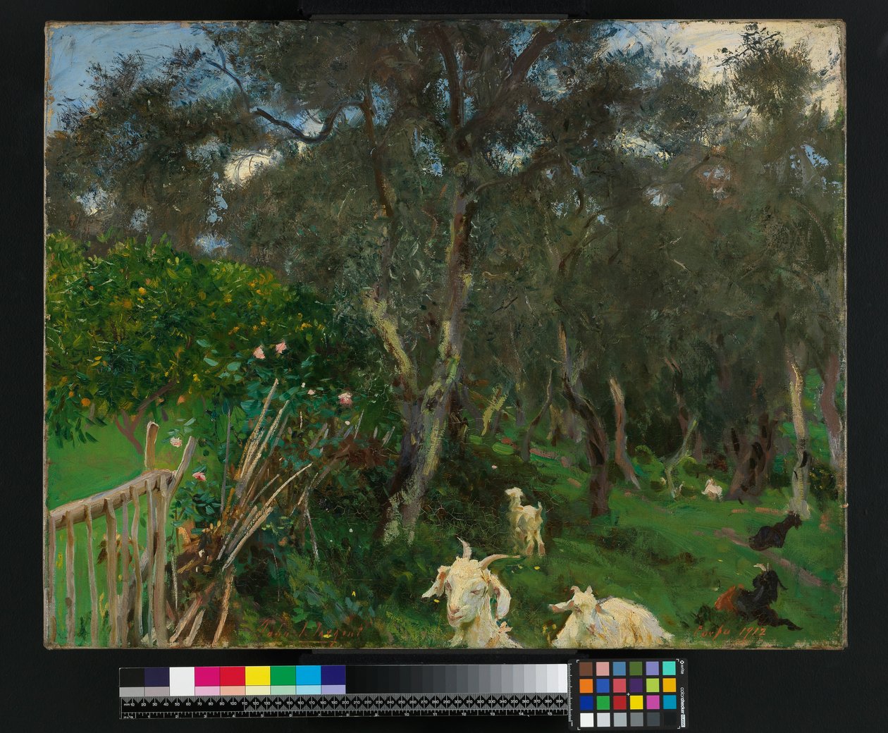 Olives à Corfou, 1909 - John Singer Sargent