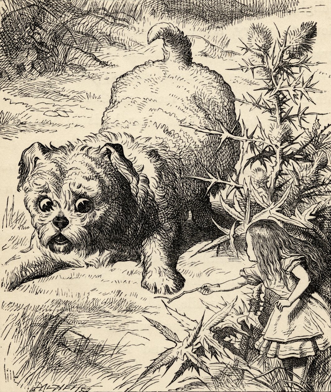 Alice rétrécit et rencontre le chiot, de 