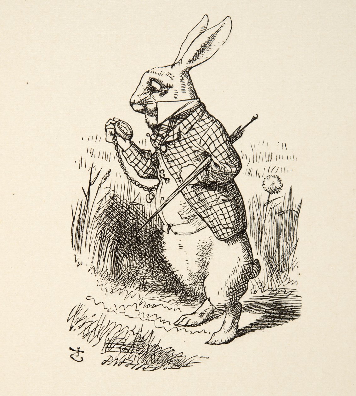 Le Lapin Blanc, Les Aventures d
