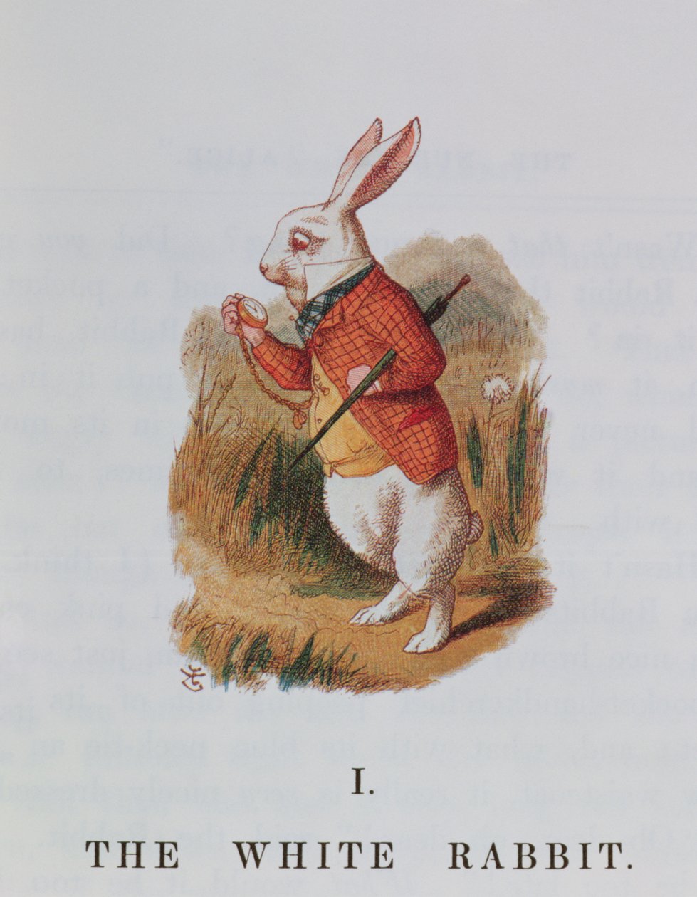 Le Lapin Blanc, illustration de 