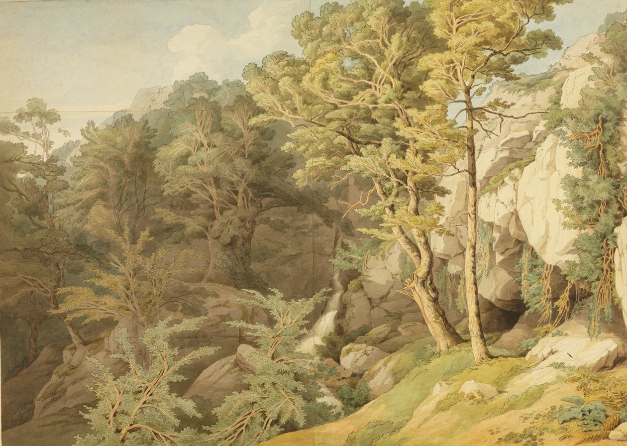 Canonteign, Devon, 1804 - John White Abbott