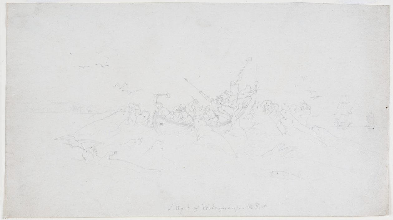 Attaque de morses sur le bateau - John Wilson Carmichael
