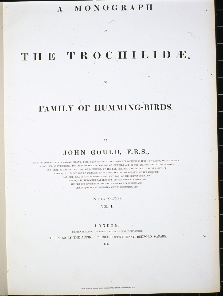 Frontispice - John (after) Gould
