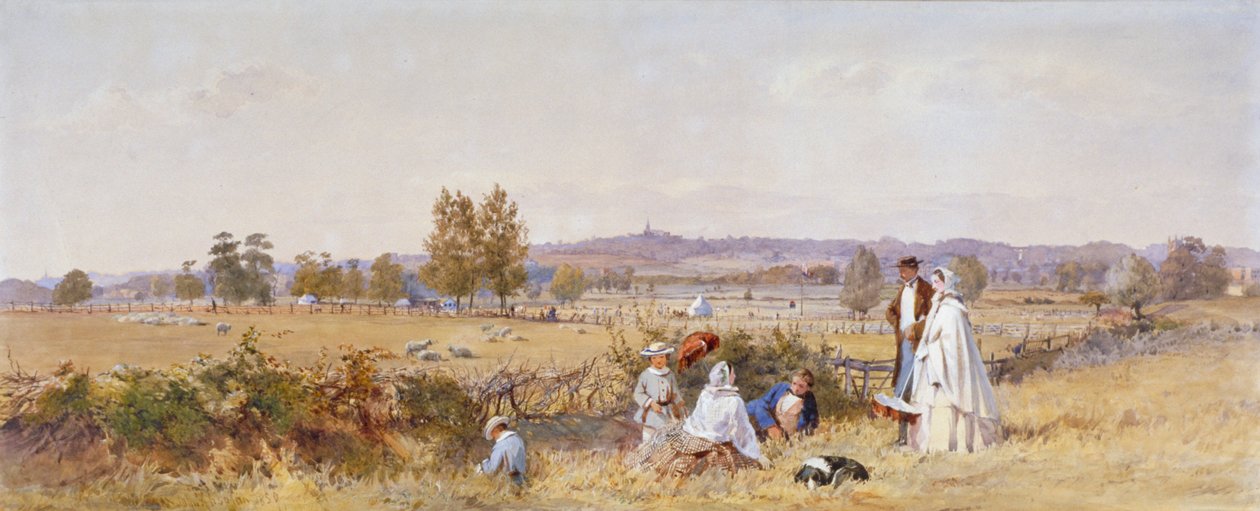Champs à l