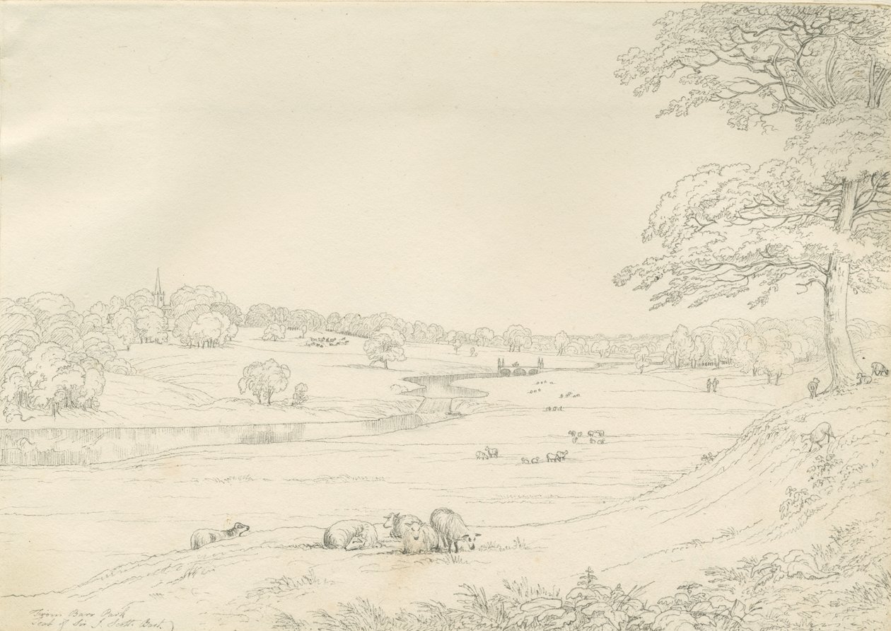 Parc de Great Barr - John Allport