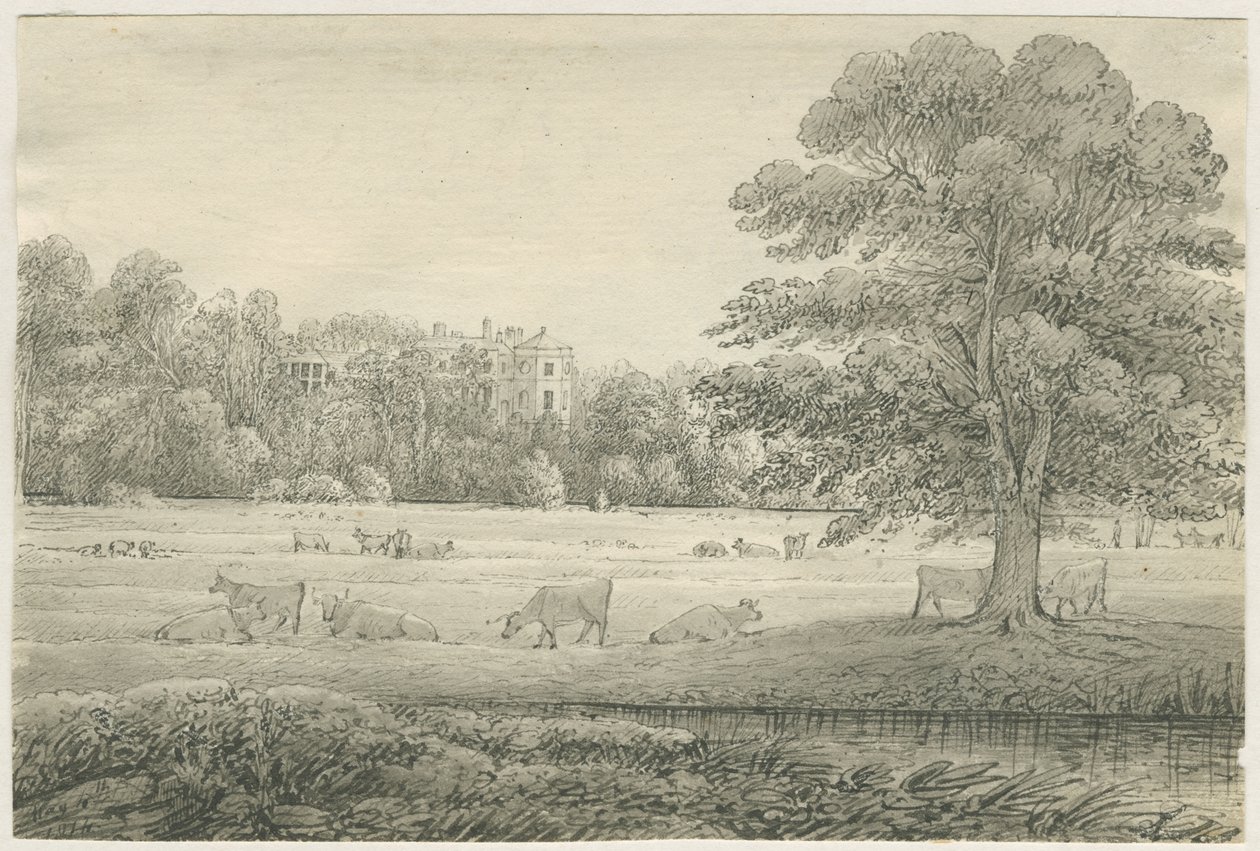 Hagley Hall - John Allport