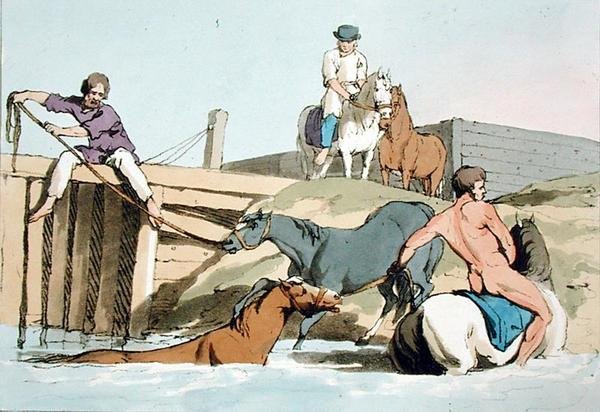 Chevaux se baignant, gravé par l