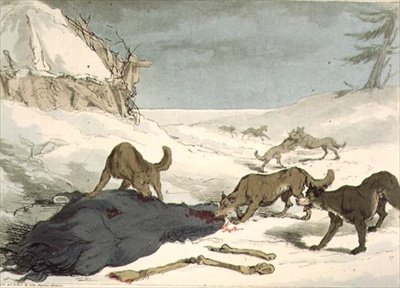 La chasse au loup, planche 74 du Volume III de 