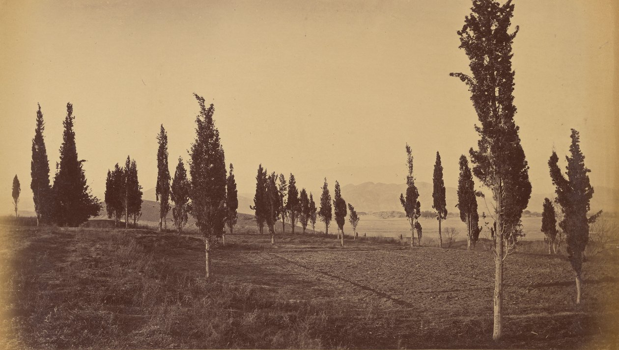 Vue aérienne de Jellalabad, depuis les sources - John Burke
