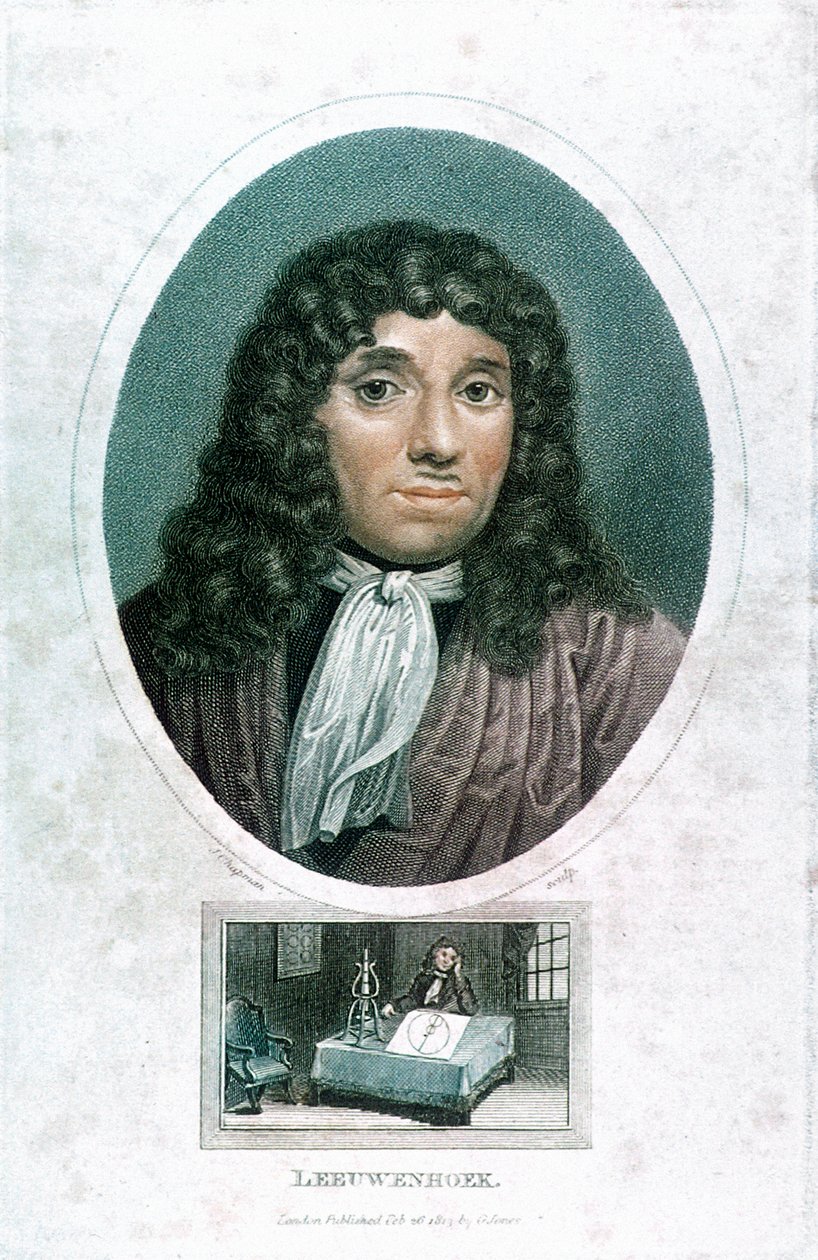 Anton van Leeuwenhoek, microscopiste néerlandais - John Chapman