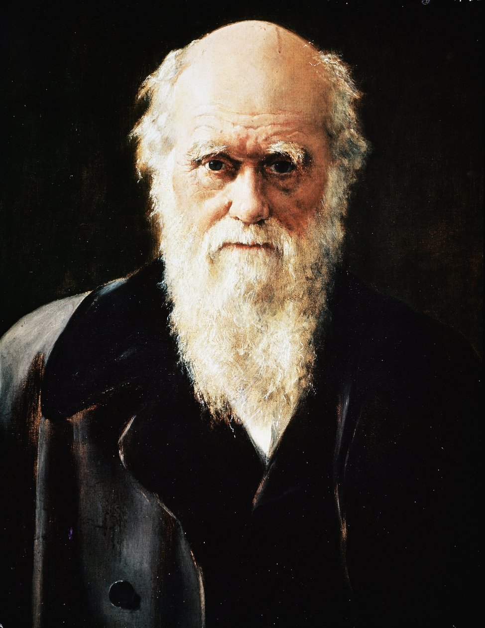 Portrait du naturaliste anglais Charles Darwin (détail) - John Collier