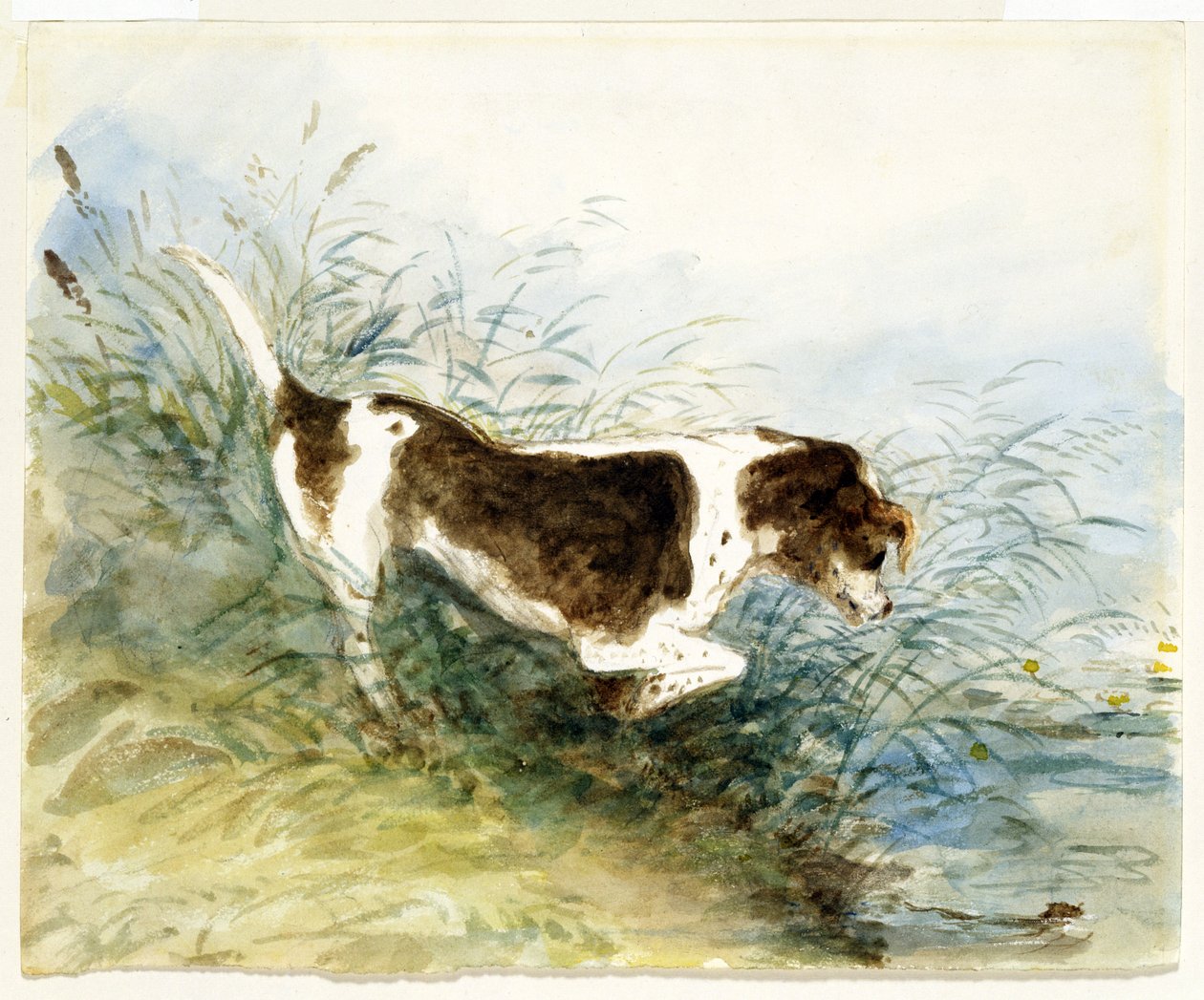 Un chien regardant un rat dans l'eau - Dedham, peint en 1831