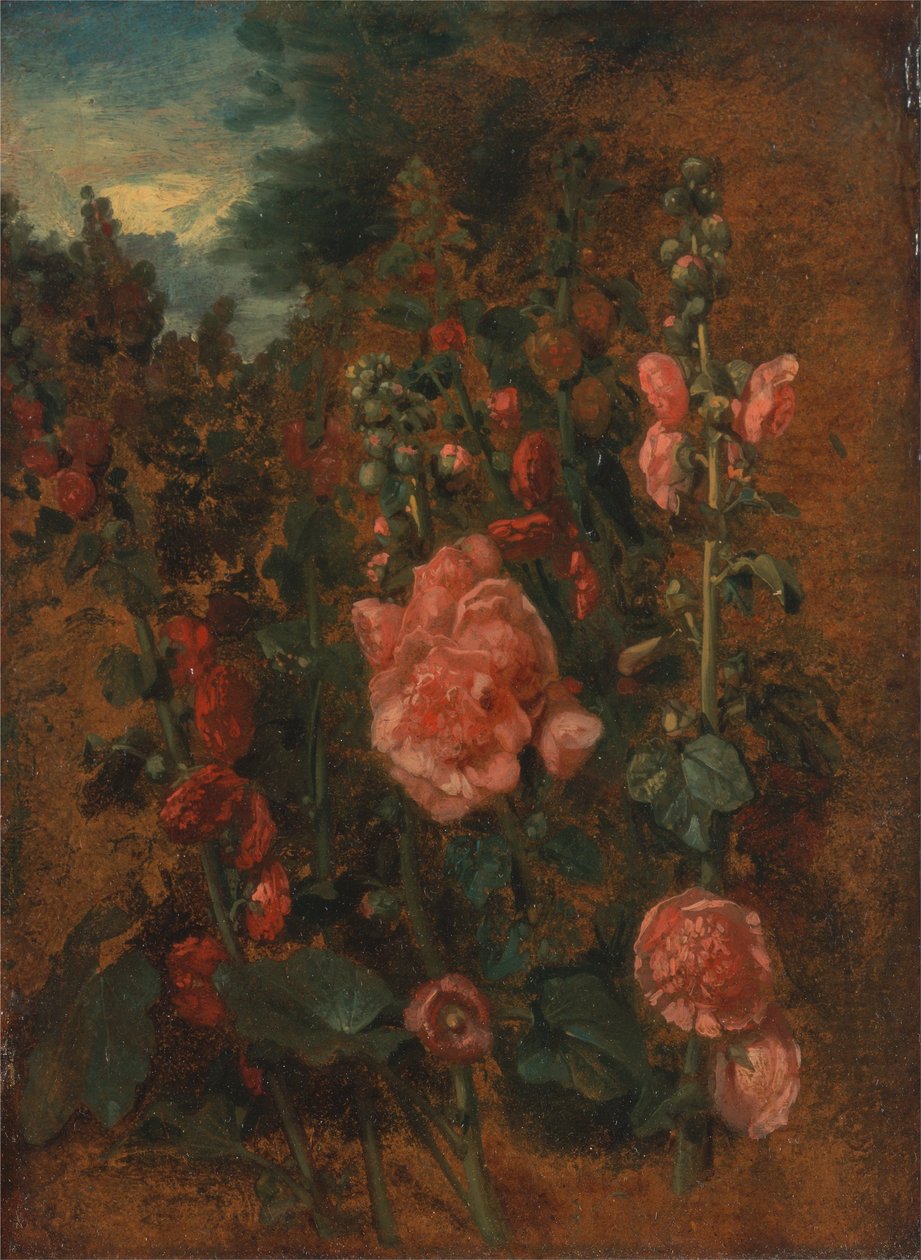 Étude sur les roses trémières - John Constable